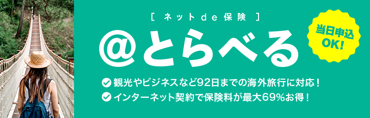 ネットde保険＠とらべる 当日申込OK！ 観光やビジネスで92日までの海外旅行に、インターネット契約で最大69％保険料がお得！